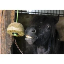 Bloc de foin Hippo Tonic Carotte