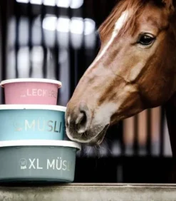 Bol à muesli XL avec couvercle - Waldhausen - 8L