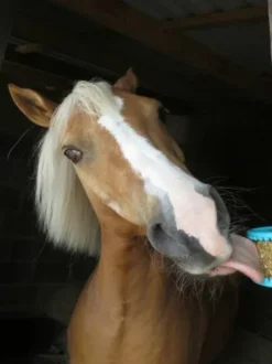 Bonbons likit granola