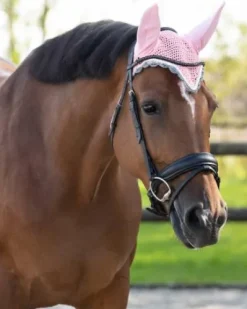 Bonnet à mouches color - QHP - Confort et maintien