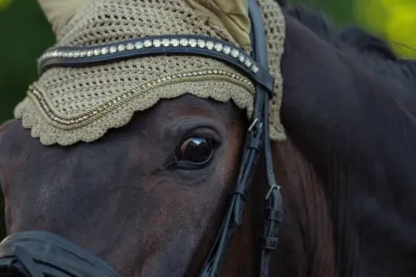 Bonnet anti-mouches Crystal Heritage 2025 - Eskadron