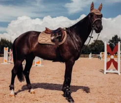 Bonnet anti-mouches Equestrian Stockholm - CHAMPAGNE