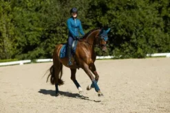 Bonnet anti-mouches Equestrian Stockholm - No Boundaries Monaco Blue