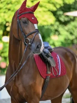 Bonnet anti-mouches Lexington - Tommy Hilfiger - Crochet