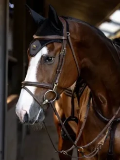 Bonnet anti-mouches Sportive Black - Equestrian Stockholm