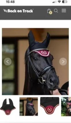 Bonnet back on track