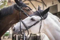 Bonnet Pro Coton Paddock Sports