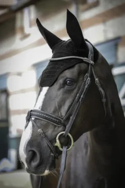 Bonnet Pro Coton Paddock Sports