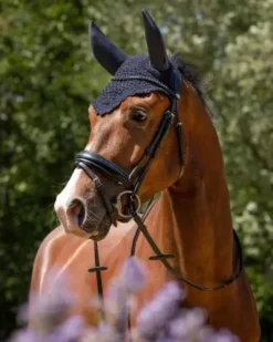 Bonnet soundless flore QHP