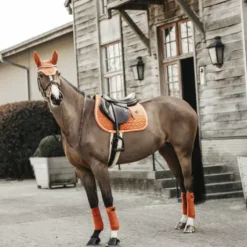 Bonnet Wellington Velvet Orange - Kentucky