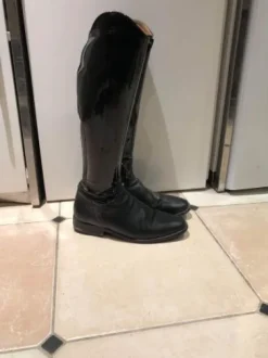 Bottes de dressage