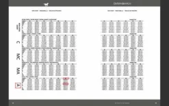 Bottes dressage De Niro neuves