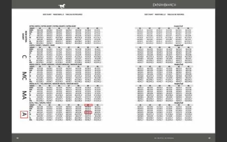 Bottes dressage De Niro neuves