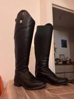 Bottes Mountain Horse