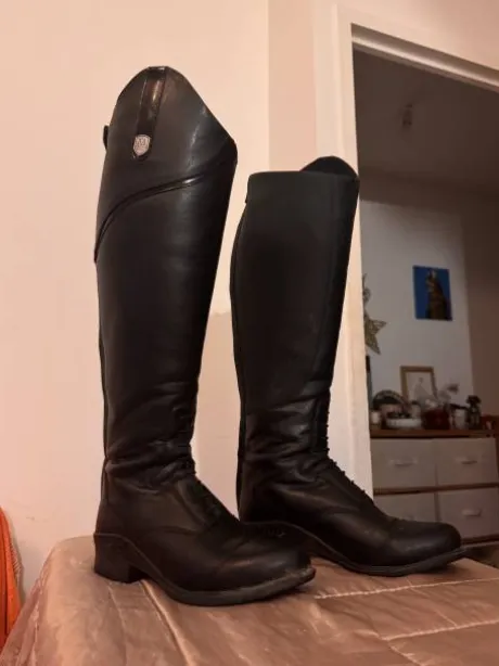 Bottes Mountain Horse