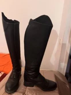 Bottes Mountain Horse