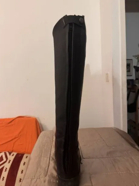 Bottes Mountain Horse