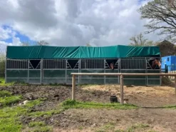 Boxes démontables Cheval Liberté