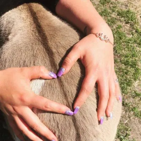 Bracelet fer à cheval - Ponytail & Co