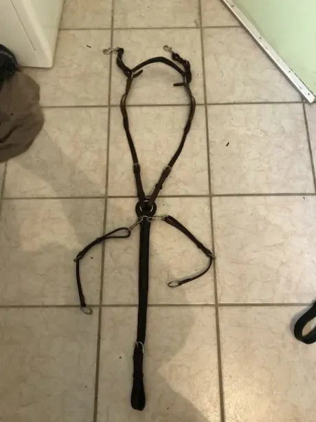 Bricole + martingale