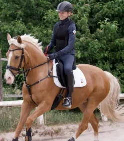 Bricole avec rênes sécurité Secutrust Waldhausen