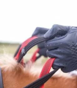 Bricole avec rênes sécurité Secutrust Waldhausen