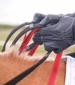 Bricole avec rênes sécurité Secutrust Waldhausen