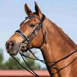 Bride ACAVALLO dressage cuir rond Giocanda