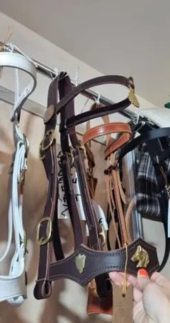 Bride cheval de trait