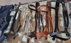 Bride cheval de trait