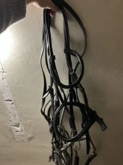 Bride complète poney