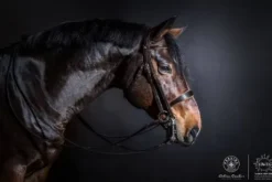 Bride de dressage - Atelier de Pravins