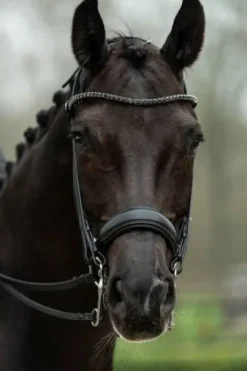 Bride de dressage Grace - HKM - Cuir avec strass