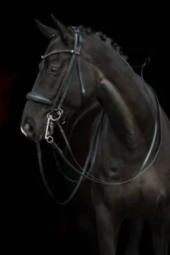 Bride de dressage Grace - HKM - Cuir avec strass