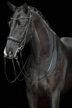 Bride de dressage Grace - HKM - Cuir avec strass