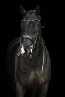 Bride de dressage Grace - HKM - Cuir avec strass