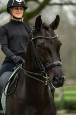 Bride de dressage Grace - HKM - Cuir avec strass