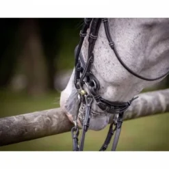 Bride de dressage vernie - Collection week - Jump in