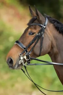 Bride de dressage Weymouth HFI