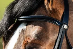 Bride de dressage Weymouth HFI