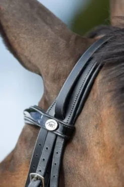 Bride de dressage Weymouth HFI