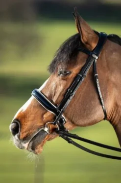 Bride de dressage Weymouth HFI