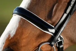 Bride de dressage Weymouth HFI