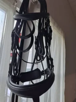 Bride dressage norton noire FS