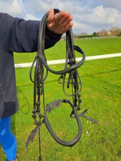 Bride dressage norton noire FS