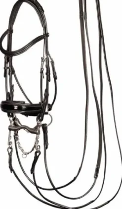 Bride grand prix Harry's horse