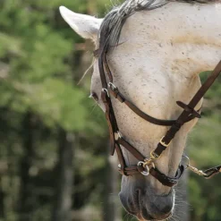 Bride sans mors Side pull Partners