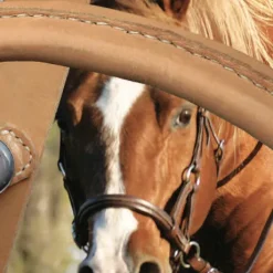 Bride sans mors Side pull Partners