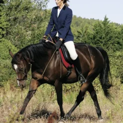 Bride sans mors Side pull Partners