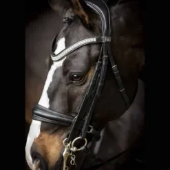 Bride Silvano Noir - SD Design